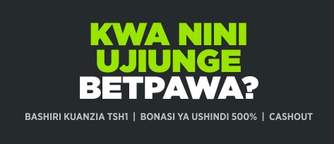 bet pawa login